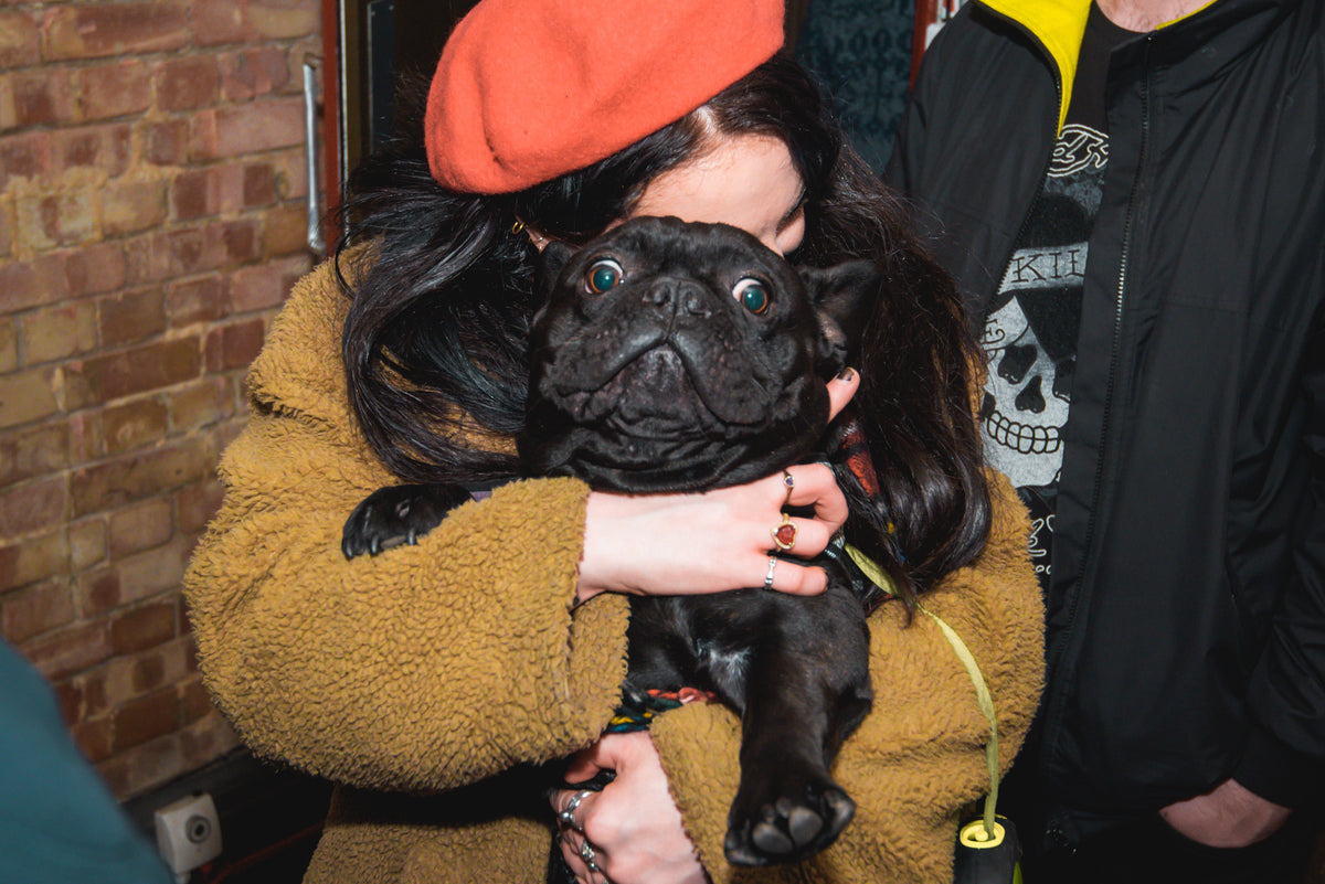 Pug Preview