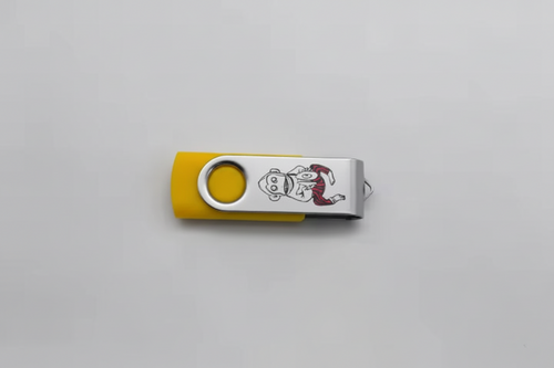 The Jones - Demo Edition - Engraved USB