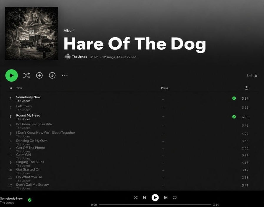 Spotify Preview